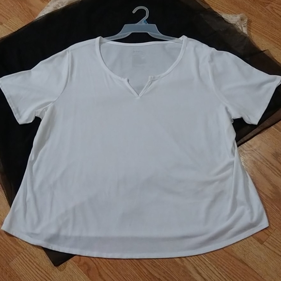 Terra & Sky Tops - NWOT Terra n Sky V-neck tee size 3xl